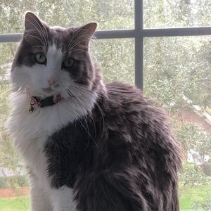 Meet your Posher, Kilynn